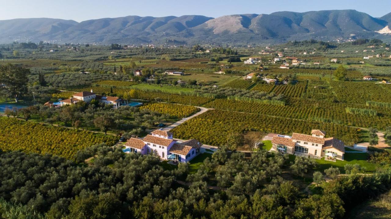 Aneli Luxury Villas - Villa Semeli Agios Kirikos  Ngoại thất bức ảnh