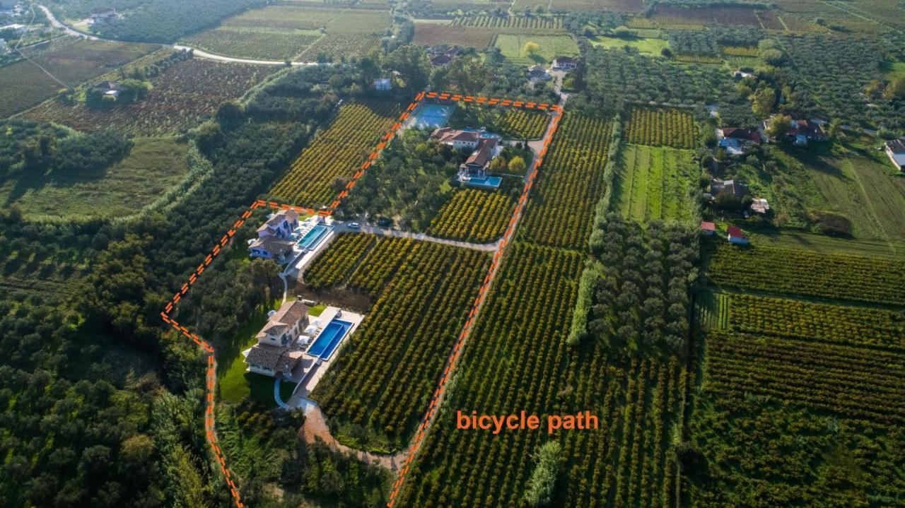 Aneli Luxury Villas - Villa Semeli Agios Kirikos  Ngoại thất bức ảnh